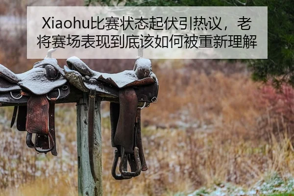 Xiaohu比赛状态起伏引热议，老将赛场表现到底该如何被重新理解