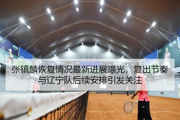 张镇麟恢复情况最新进展曝光，复出节奏与辽宁队后续安排引发关注